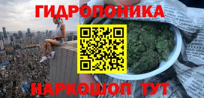 прущие крисы Кимры