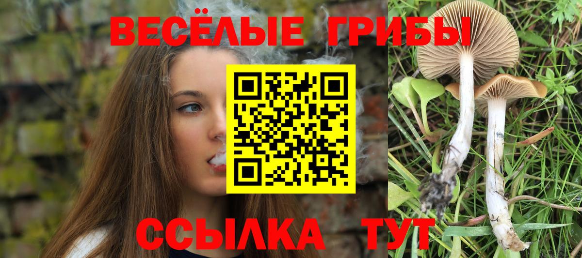 Галлюциногенные грибы Psilocybe  Вход с VPN  купить закладку  Краснодар 